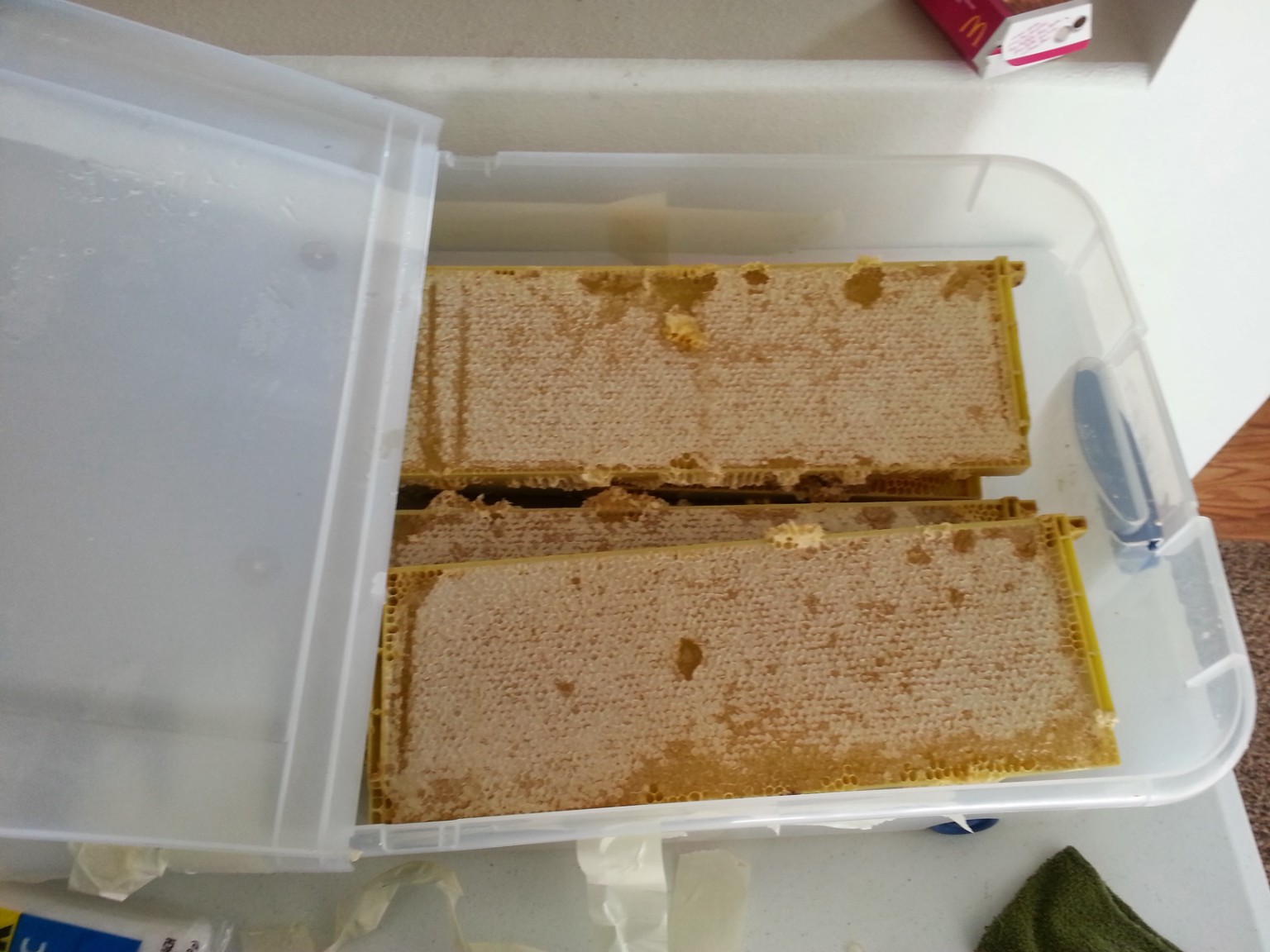 Capped honeycomb frames in a storage container